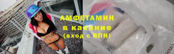 крисы Надым