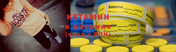 крисы Надым