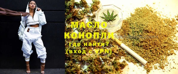 крисы Надым