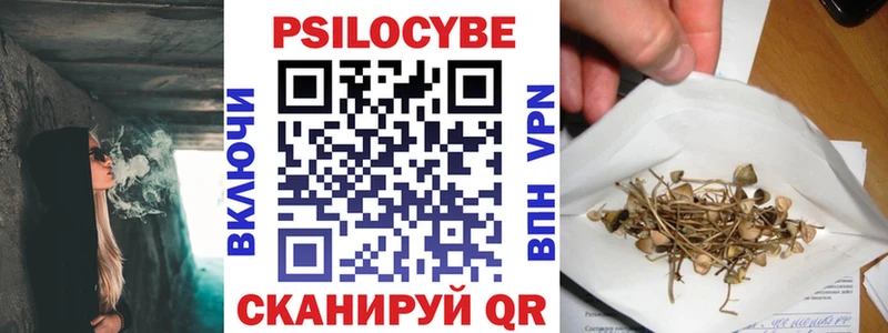 Галлюциногенные грибы мицелий где купить Оханск